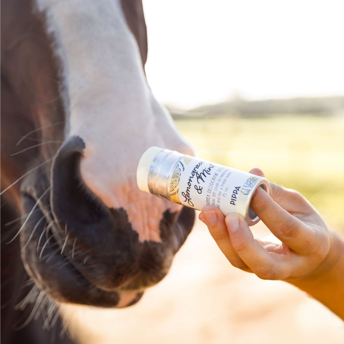 PIPPA Lemongrass & Mint SPF Summer Deodorant Stick
