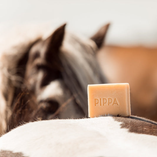 PIPPA Paardenshampoo Lemongrass & Mint