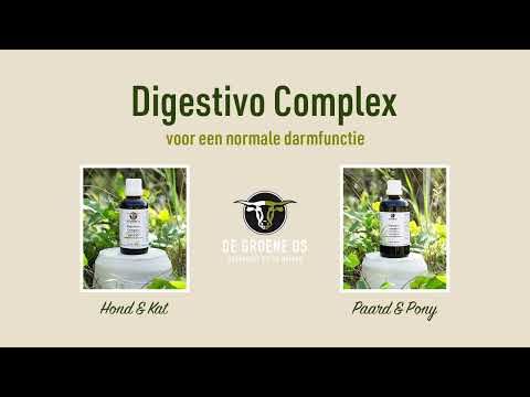 Digestivo Complex van De Groene Os – kruidenmix ter ondersteuning van een gezonde spijsvertering en darmfunctie bij paarden