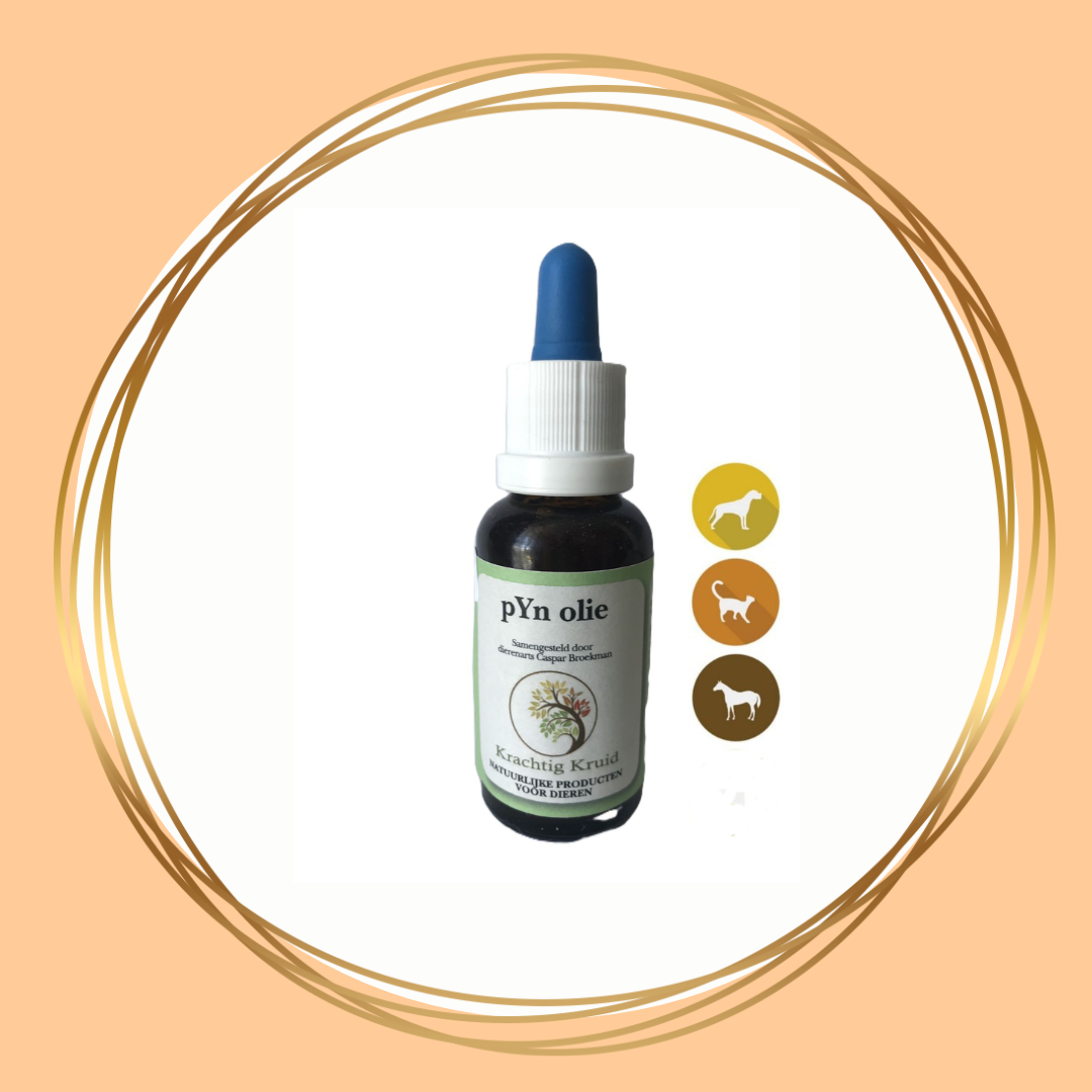 pYn olie voor uitwendig gebruik – 30 ml en 100 ml
