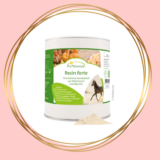 Natuurlijke ondersteuning voor de spijsvertering en darmgezondheid bij paarden met Resin Forte van PerNaturam.