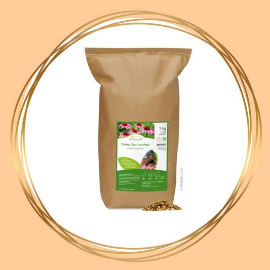 PerNaturam | Rode Zonnehoed (Echinacea)