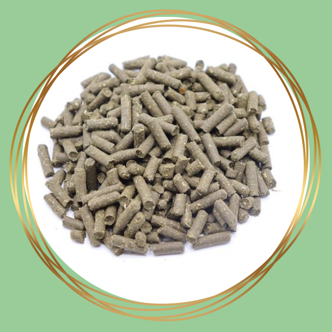 Smalle weegbree pellets rijk aan voedingsstoffen, ideaal voor training en beloning