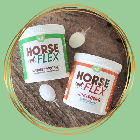 HorseFlex | Spieren en Gewrichten combideal Groot