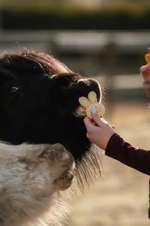 The HorseTea Company | TasTea Bunnies