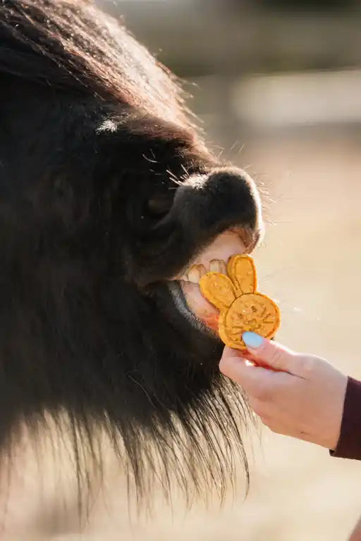 The HorseTea Company | TasTea Bunnies