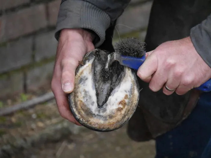 Unique-horn Silver Hoof Sticks voor hoefverzorging bij paarden
