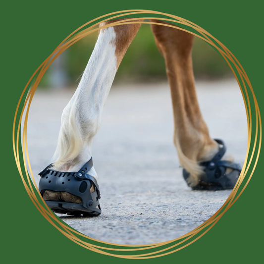Unique-horn Sport Hoof Boot, lichtgewicht en instelbare hoefschoen voor natuurlijke beweging.