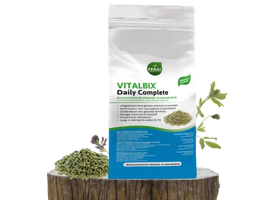 Vitalbix Daily Complete Original balancer, vezelrijk en geconcentreerd, zonder toegevoegde suikers of granen