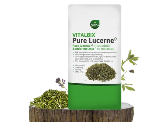 Vitalbix Pure Lucerne+ – luzernerijke ruwvoermix voor extra eiwit, structuur en kauwactiviteit bij paarden