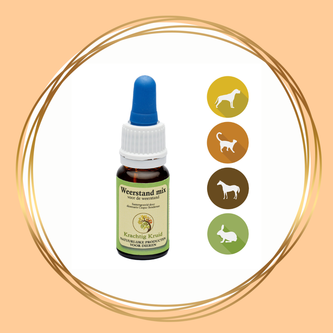 Weerstand mix van Krachtig Kruid ter ondersteuning van het immuunsysteem